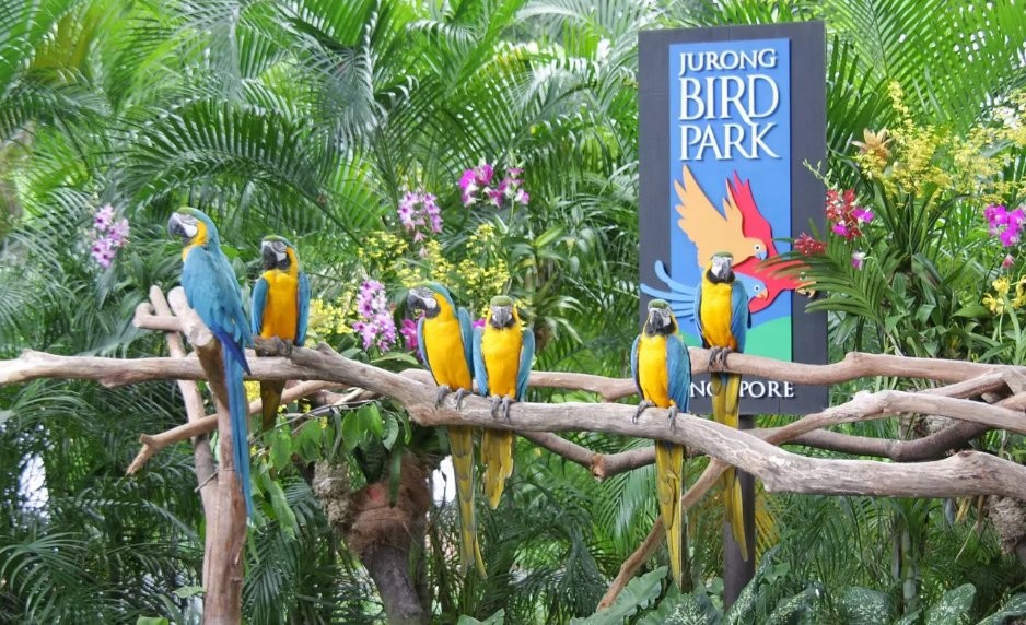 Jurong Bird Park